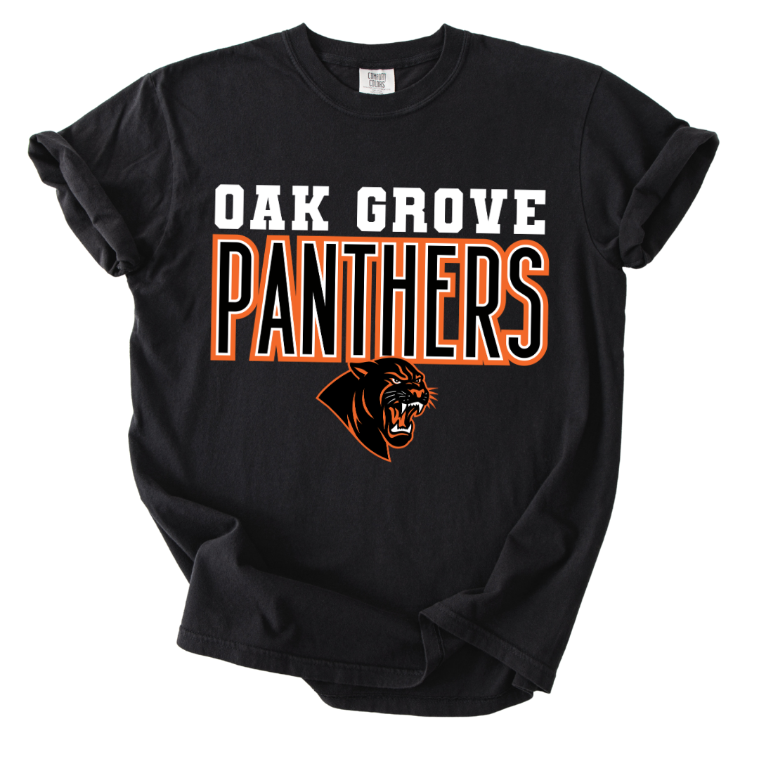 Panthers Varsity