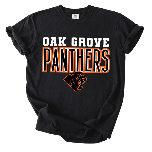 Panthers Varsity