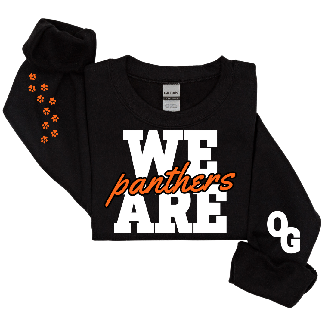 We Are Panthers