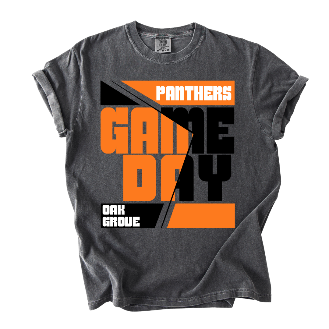 Game Day Panthers